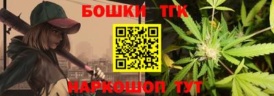 индика Ливны