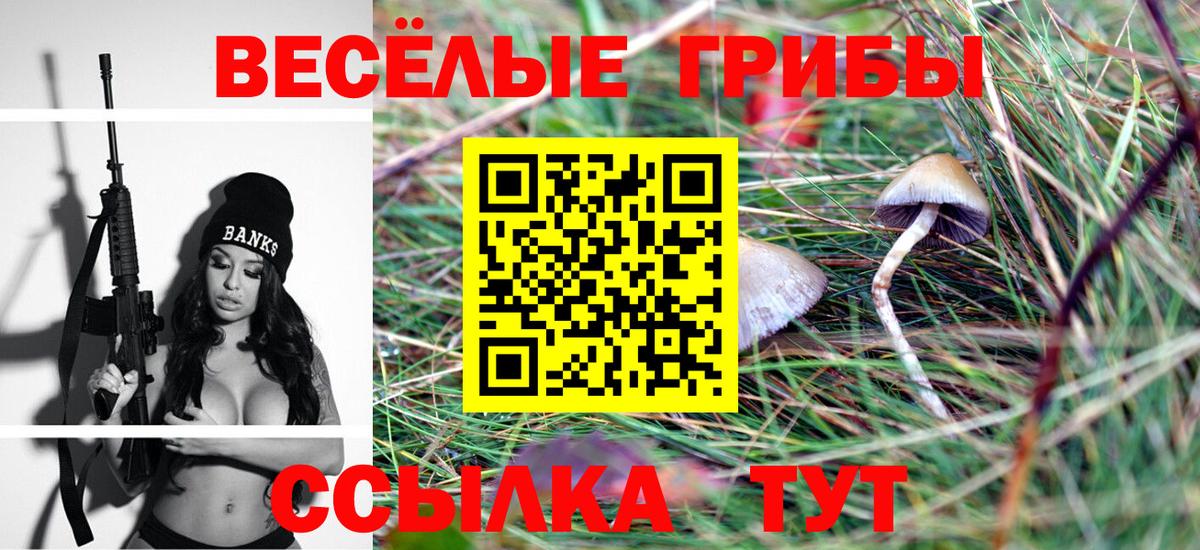 наркошоп  Псилоцибиновые грибы прущие грибы  Псилоцибиновые грибы мицелий  Вход с VPN  Воскресенск 